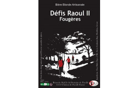 Lot de 3 packs de 3 bières des Défis 2025