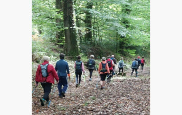 Saison 2025-2026, C'est parti...